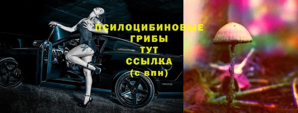 дживик Белоозёрский