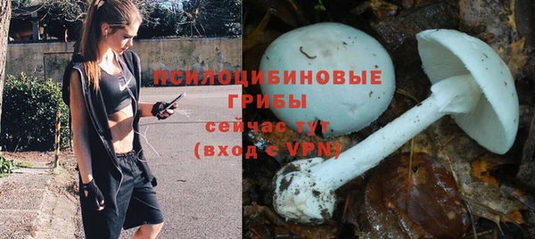 первитин Беломорск