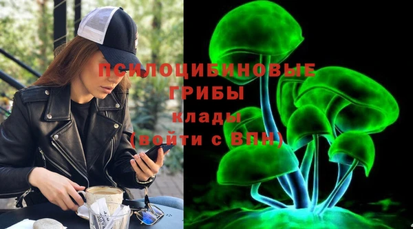2c-b Белокуриха